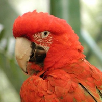 Look at Me...I'm so Pretty!