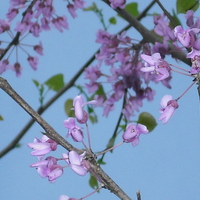 Spring is in the air