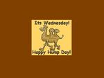 Hump Day