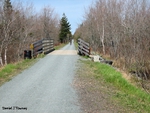 Salt Marsh Trail
