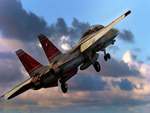 F-14 Tomcat 