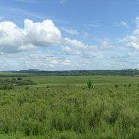 One landscape in Rivera