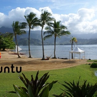 Another Day in  Hawaii