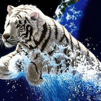 Tiger Splash