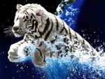 Tiger Splash