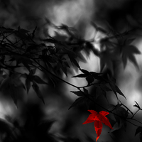 Still There is a Hope !