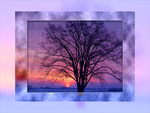 Winter Sunrise with Tree
