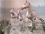 Horses in Winter (3d)