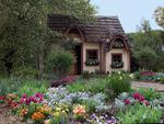 Beautiful cottage