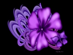 Purple Flower Abstract
