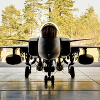 Jas39 Euro Fighter At Bay