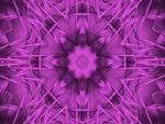 Purple Wild Fractal