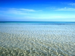 Blue Sea