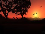 Sunsets Horses