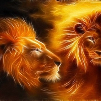 Lion Twin