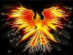 Phoenix 2