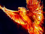 Phoenix Fractalius