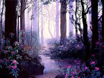 Magical Woodland