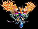 Phoenix Colorful
