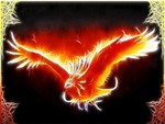 Phoenix On Frame