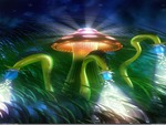 Magic Mushroom