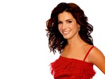 Sandra (Annette) Bullock