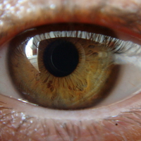 brown eye