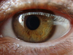 brown eye