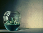 City in Fishbowl