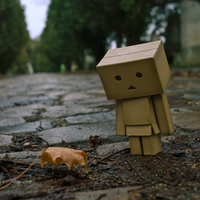 Leaf with Danbo