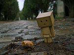 Leaf with Danbo