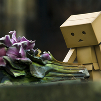 Flowers with Danbo