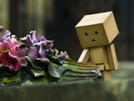 Flowers with Danbo