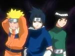 lee san,naruto n sasuke