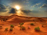 Desert drifts 