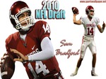 Sam Bradford Desktop Wallpaper #1 Pick NFL 2010 Draft