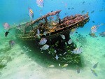 Barbados-Shipwrek