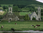 Baltinglass Abbey