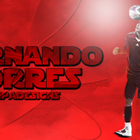 TempaDesigns - Fernando Torres