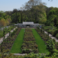 Rose Gardens @ The Brooklyn Botanical Garden