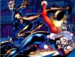 Catwoman vs.Harley Quinn