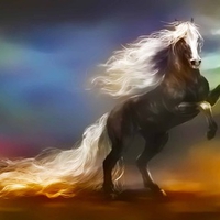 Horse Long Tail Beauty