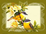 YELLOW BIRDS