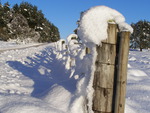 Snow blasted fence posts
