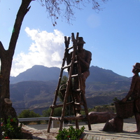 The old fruit picker