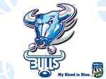 Bulls - My bloed is blou