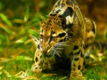 Fractal Ocelot