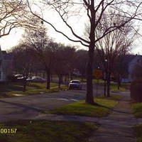 the brighter side of life