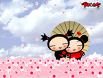 pucca