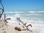 ~Crashing Waves at Beautiful Honeymoon Island~Tarpon Springs, Florida~